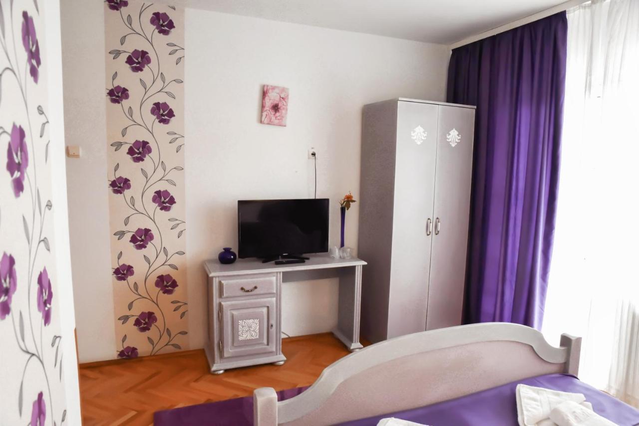 Pensiunea Vila Silva I Haţeg Exteriér fotografie