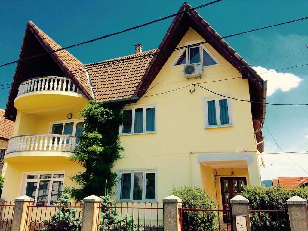 Pensiunea Vila Silva I Haţeg Exteriér fotografie