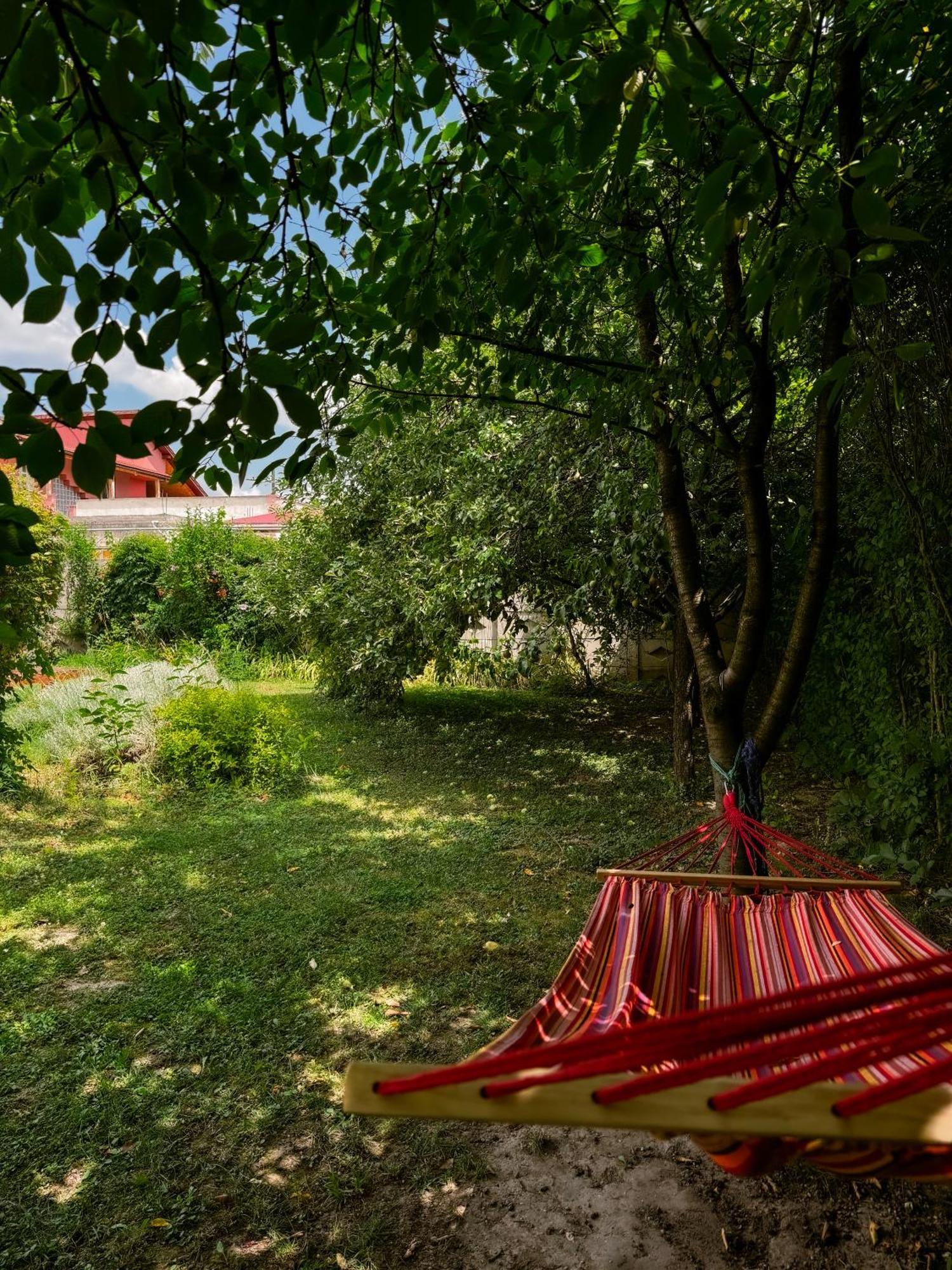 Pensiunea Vila Silva I Haţeg Exteriér fotografie