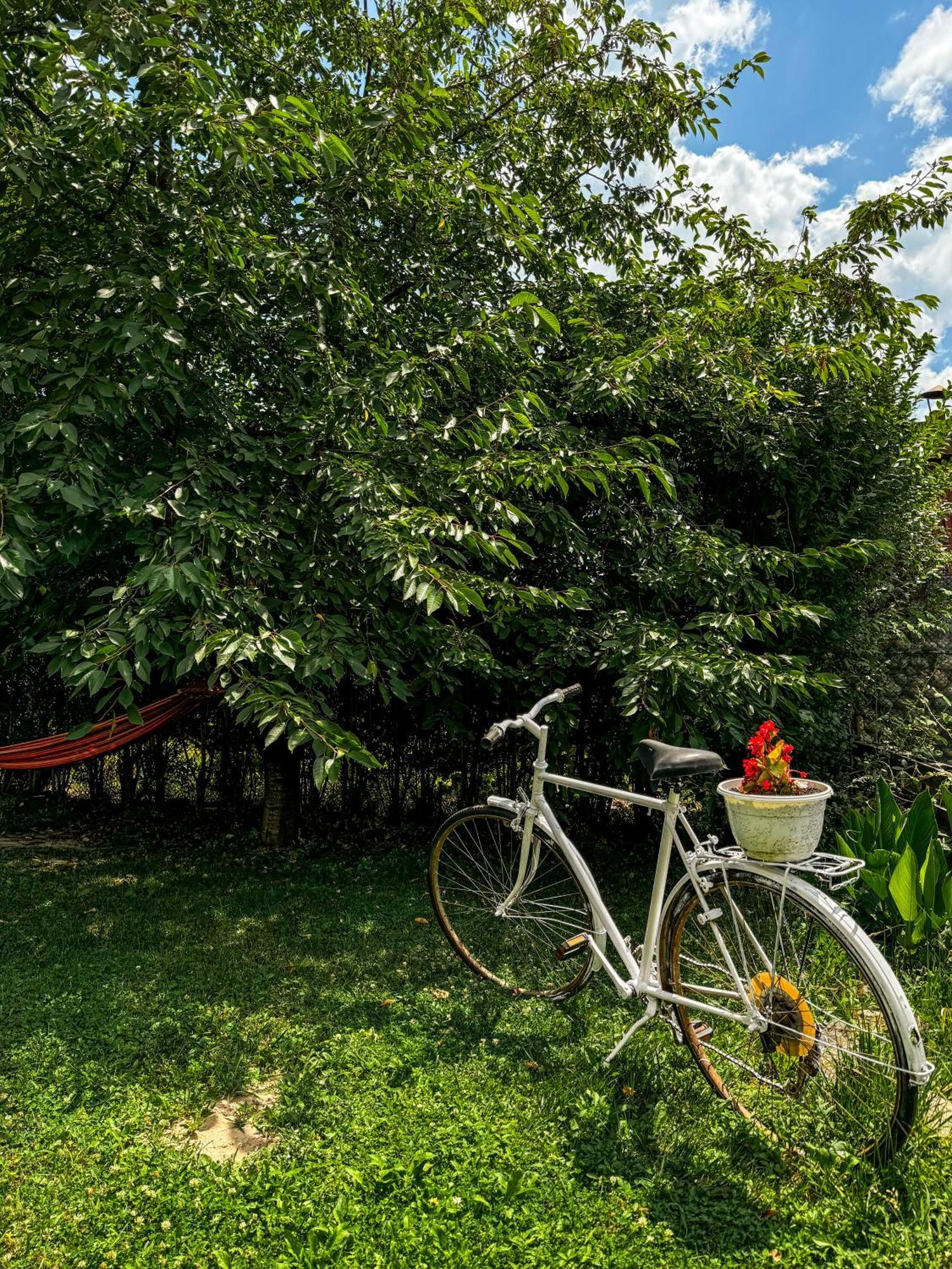 Pensiunea Vila Silva I Haţeg Exteriér fotografie