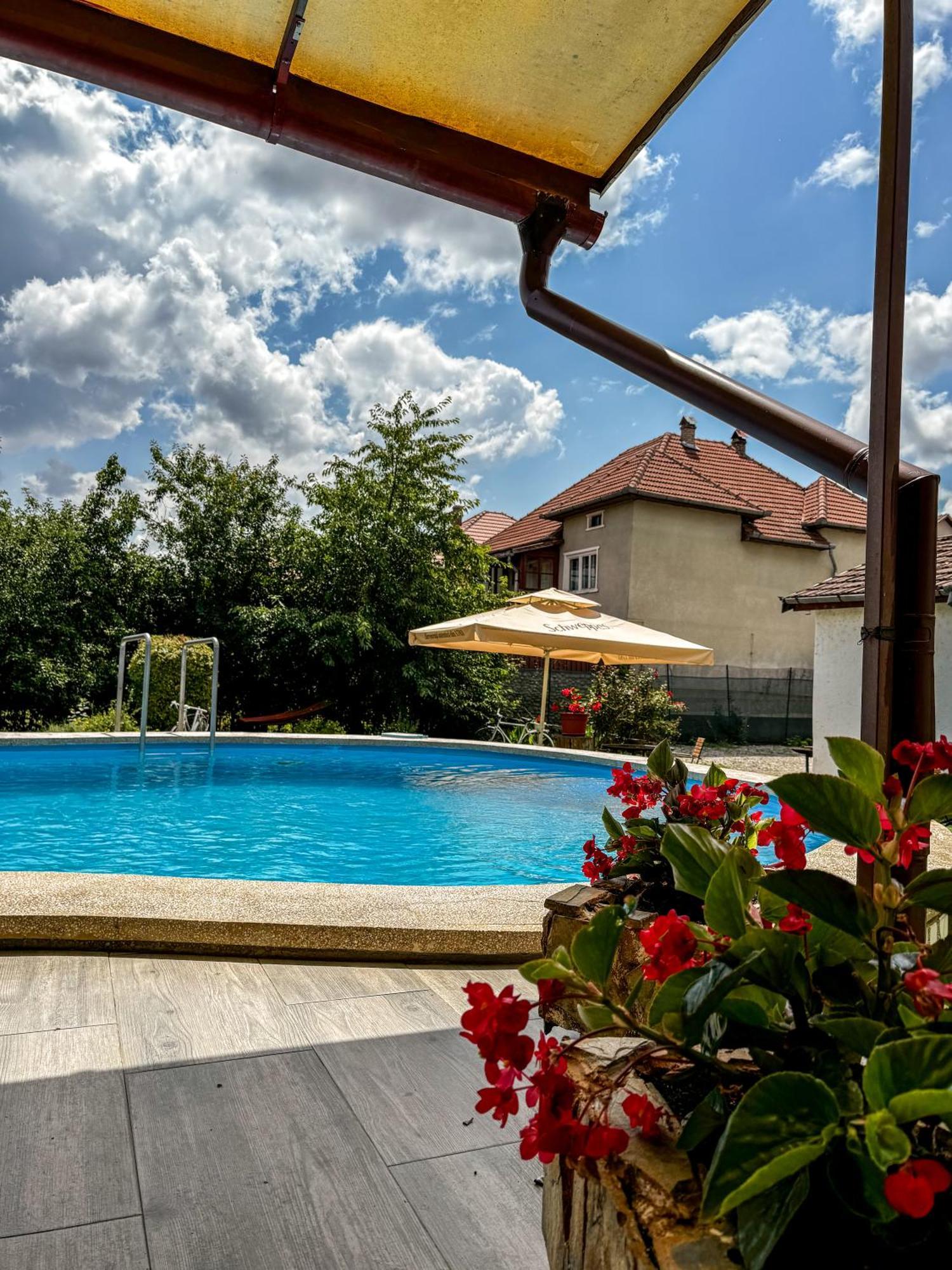 Pensiunea Vila Silva I Haţeg Exteriér fotografie